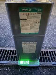 サラセーヌ　Tのサムネイル
