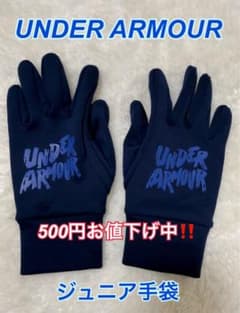 今がチャンス‼️UNDER ARMOUR ネイビー 手袋 約22cmのサムネイル