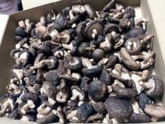 乾燥椎茸 300g 自家栽培 自然乾燥 無添加 国産のサムネイル