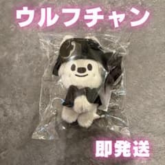 ウルフチャン SKZOO COSTUME MAGNET PLUSH KEYRIN - メルカリ