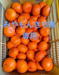 みやもんきち様専用のサムネイル