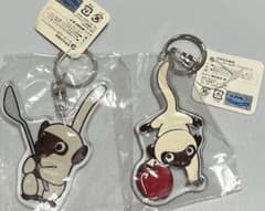 世界名作劇場 アメデオ アクリルキーホルダー 2種セット - メルカリ