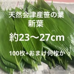 天然会津産笹の葉 100枚+おまけのサムネイル