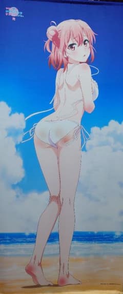신작 해변 비키니 BIG 태피스트리 유이가하마 유이