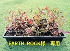 EARTH ROCK様　専用のサムネイル