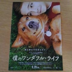 僕のワンダフルライフ　9/13 試写会のサムネイル