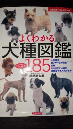 よくわかる犬種図鑑 ベスト185 藤原尚太郎のサムネイル