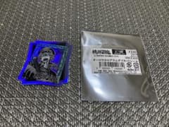 桃源暗鬼 オーロラホログラムダイカットシール 等々力颯のサムネイル