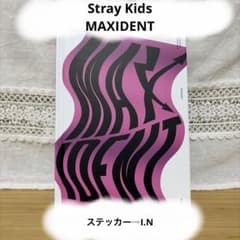 Stray Kids MAXIDENTのサムネイル