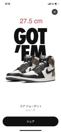 AIR JORDAN1 Dark Mocha エアジョーダン1 27.5のサムネイル