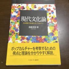 現代文化論 社会理論で読み解くポップカルチャーのサムネイル