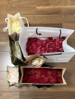 専用のサムネイル