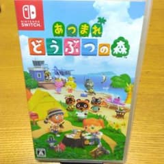 あつまれ どうぶつの森 Nintendo Switchのサムネイル
