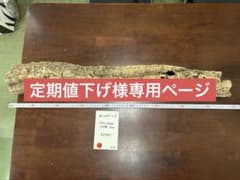 ポルトガル産コルク樹皮PL-0715-L 2 - メルカリ