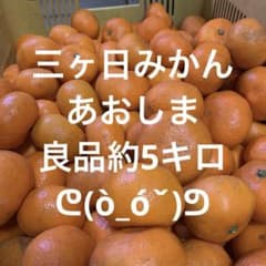 三ヶ日みかん　良品約5キロのサムネイル