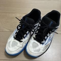 テニスシューズ　26cmのサムネイル
