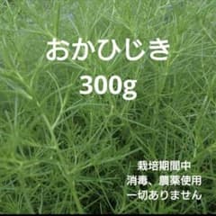 おかひじき、野菜　300gのサムネイル