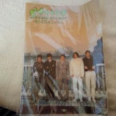 嵐　ピカ☆ンチクリアファイルのサムネイル