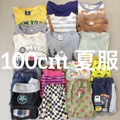 子供服 100cm 汚し放題 20着 夏服セット まとめ売り 男の子 - メルカリ