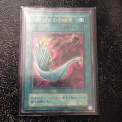 ハーピィの羽根箒のサムネイル