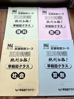 早稲田アカデミー NN志望校別コース 2025~2026正月特訓 4科目セット