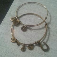 Mikiさま専用。Alex and ani イニシャルS、馬蹄 バングルのサムネイル