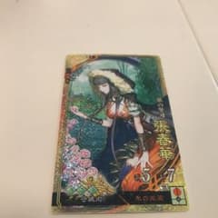 三国志大戦4 SR張春華 ちょうしゅんかのサムネイル