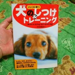 いいコに育つ　犬のしつけ&トレーニングのサムネイル