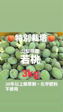 山梨県産】若桃 3kg 特別栽培（30年以上除草剤・化学肥料不使用）摘果 
