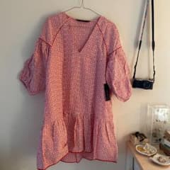 zara ミニワンピースのサムネイル