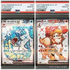 ポケモンカード ギャラドスex SR ウインディex SR PSA10 連番 - メルカリ