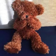 新品 テディベアのサムネイル