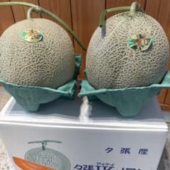 2玉!!!! 北海道 「夕張IKメロン」 秀品 - メルカリ