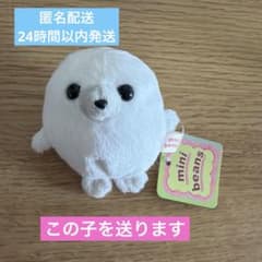 mini beans アザラシ ぬいぐるみ　ミニビーンズのサムネイル