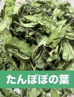 たんぽぽ　葉　乾燥のサムネイル