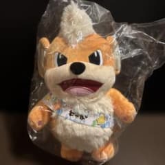 新品 ポケモン ローカル Acts おきなわ応援ポケモン ガーディ