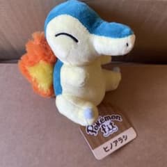 ポケモンfit ヒノアラシ 旧タグ - メルカリ