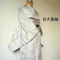正絹 . 白大島紬 . グレーの濃淡花柄 . 袷 . 未使用品 - メルカリ