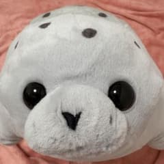 神戸須磨シーワールド　アザラシ　ぬいぐるみMのサムネイル
