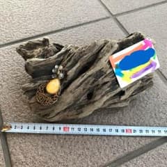 流木のサムネイル