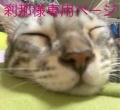 一番くじ刹那様専用ページのサムネイル