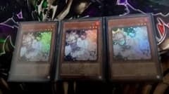 遊戯王 灰流うらら 3枚セット ウルトラのサムネイル