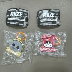 RIIZEぷっくりめじるしアクセサリーのサムネイル