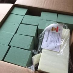 オアシスのサムネイル