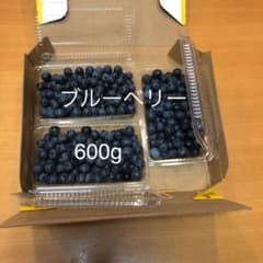 ブルーベリー 600g 無農薬のサムネイル