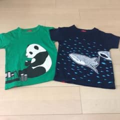 オジコ　Tシャツ　8Aのサムネイル