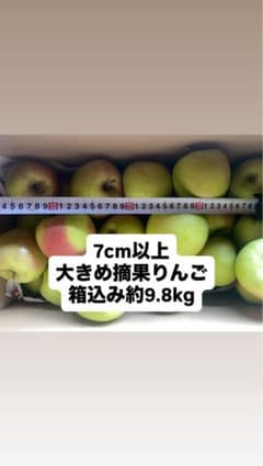 摘果りんご　大きめ箱込み9.8kgのサムネイル