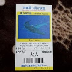 美ら海水族館　チケットのサムネイル