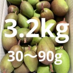 沖縄県産摘果マンゴー 3.2kg - メルカリ