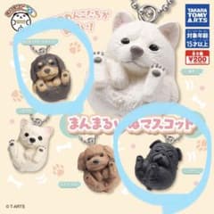 まんまるいぬマスコットのサムネイル